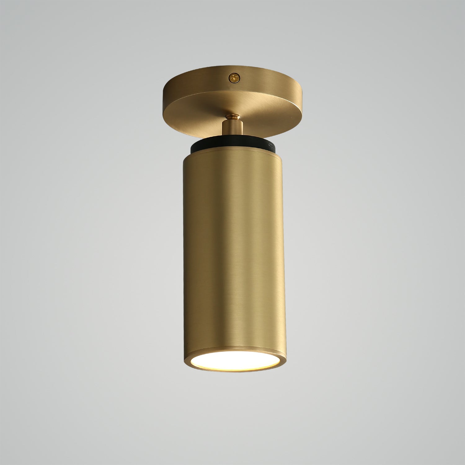 Champeaux Pivoting Flushmount Light