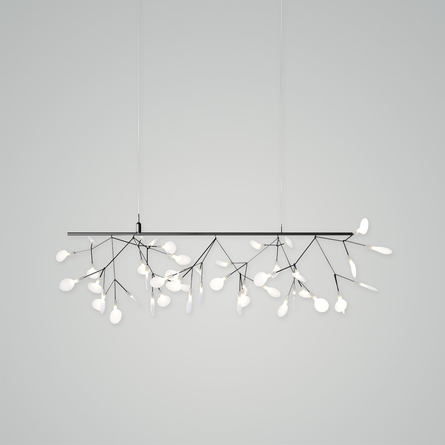 Heracleum III Endless Chandelier