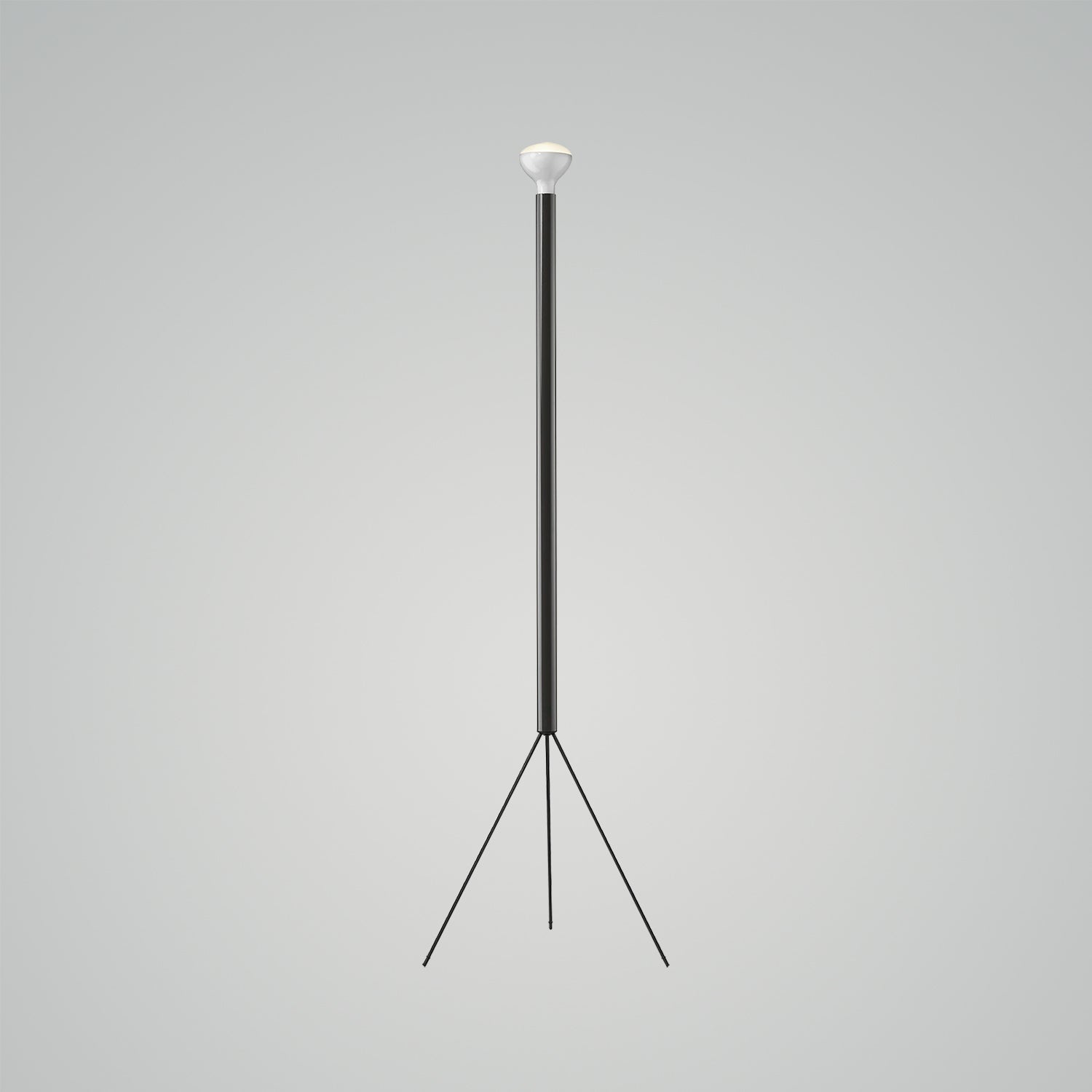 Luminator Floor Lamp