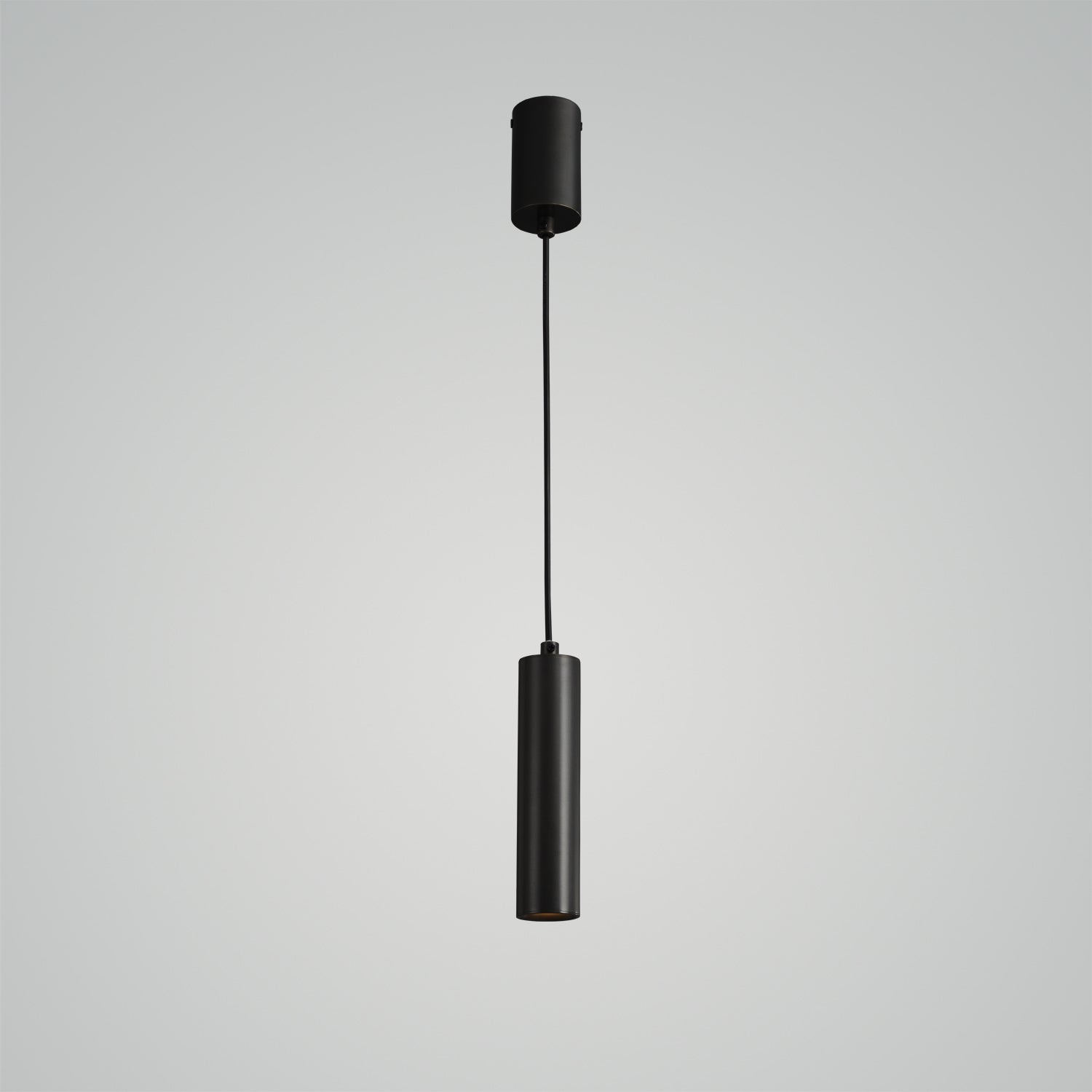 Find Me 1 Suspension Pendant Light