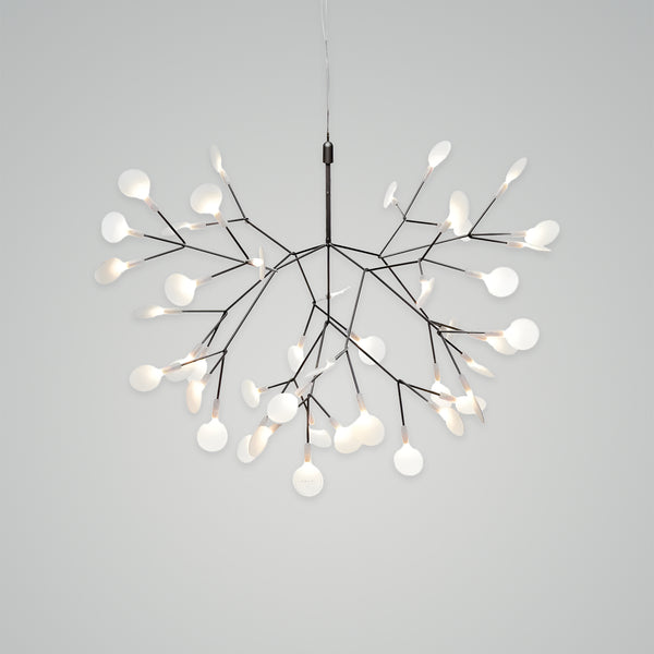 Heracleum III Suspended Chandelier