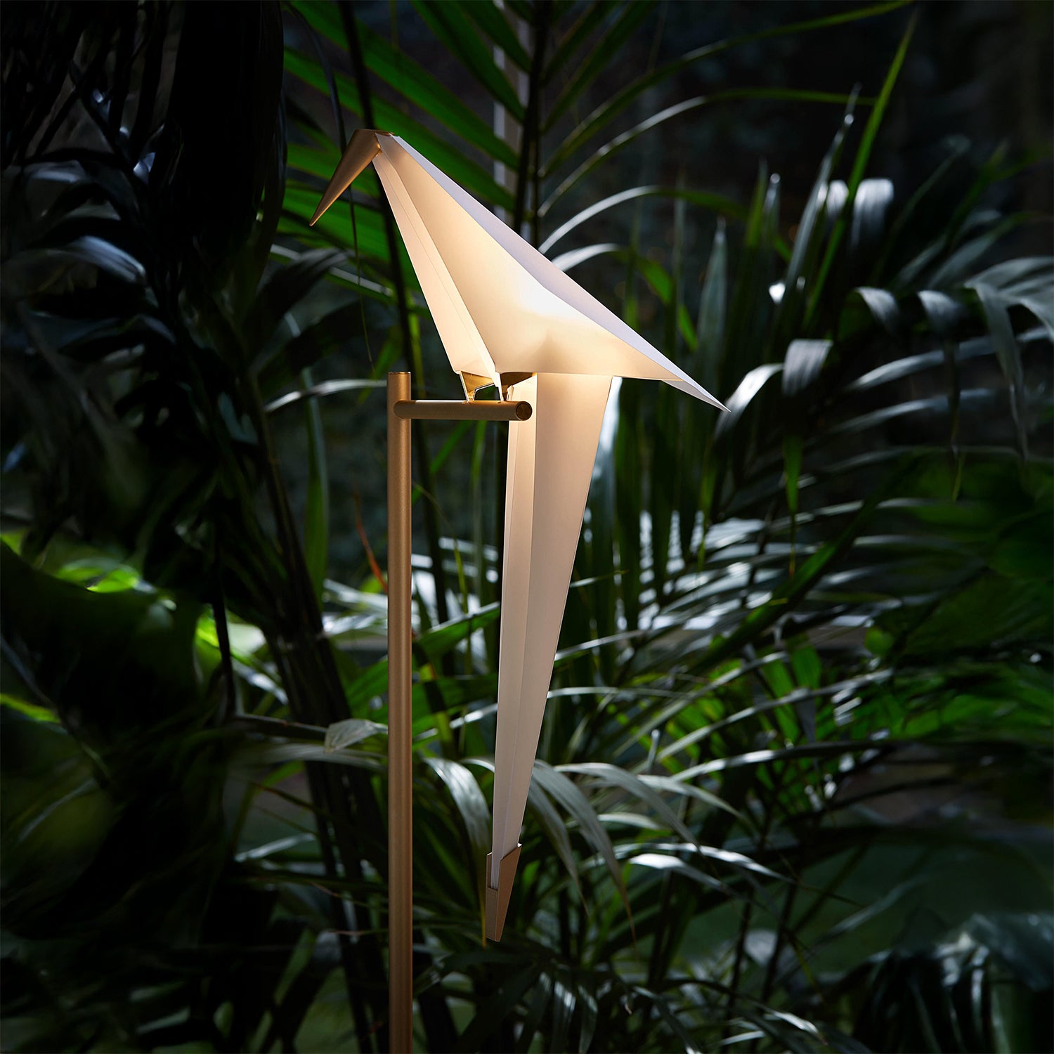 Perch Table Light